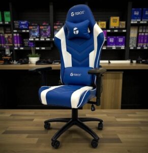 Silla Gamer Teros Te-8126B